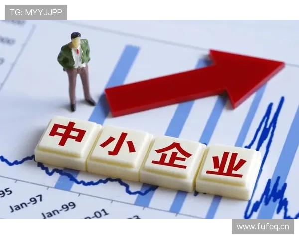 助力中小企业家迈向成功的关键策略与实践分享